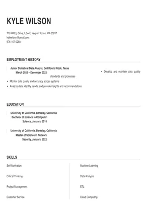 statistical data analyst