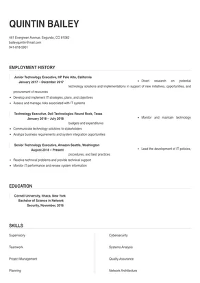 technology executive
