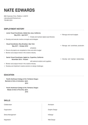 visual coordinator