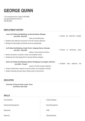 vp of sales and marketing