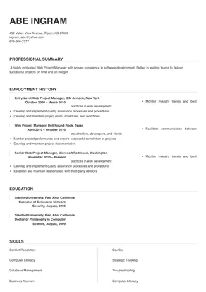 web project manager
