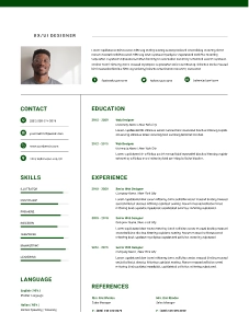 Resume template preview