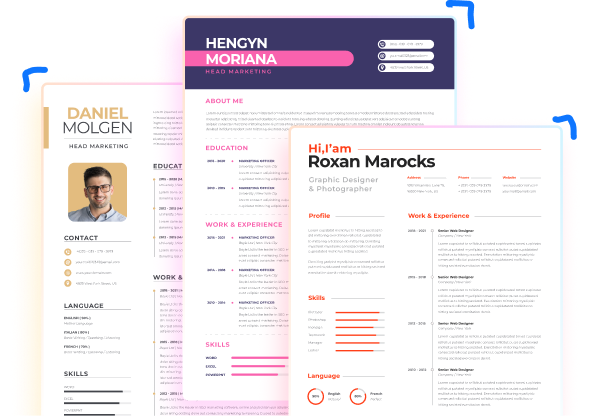 Professional resume examples