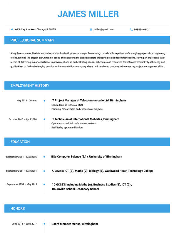 Professional Resume Template