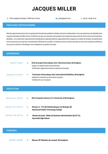 Professionnel Resume Template