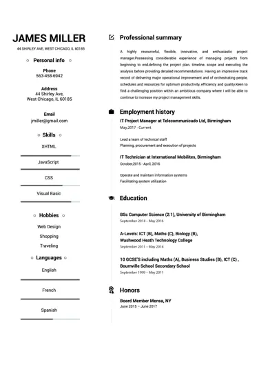 Visionary Resume Template